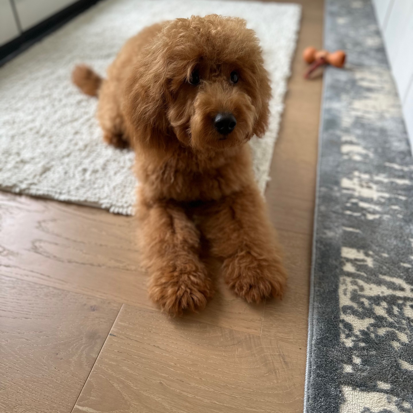 Rusty!